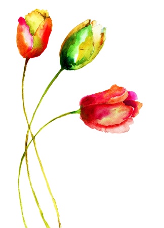 TULIPAN