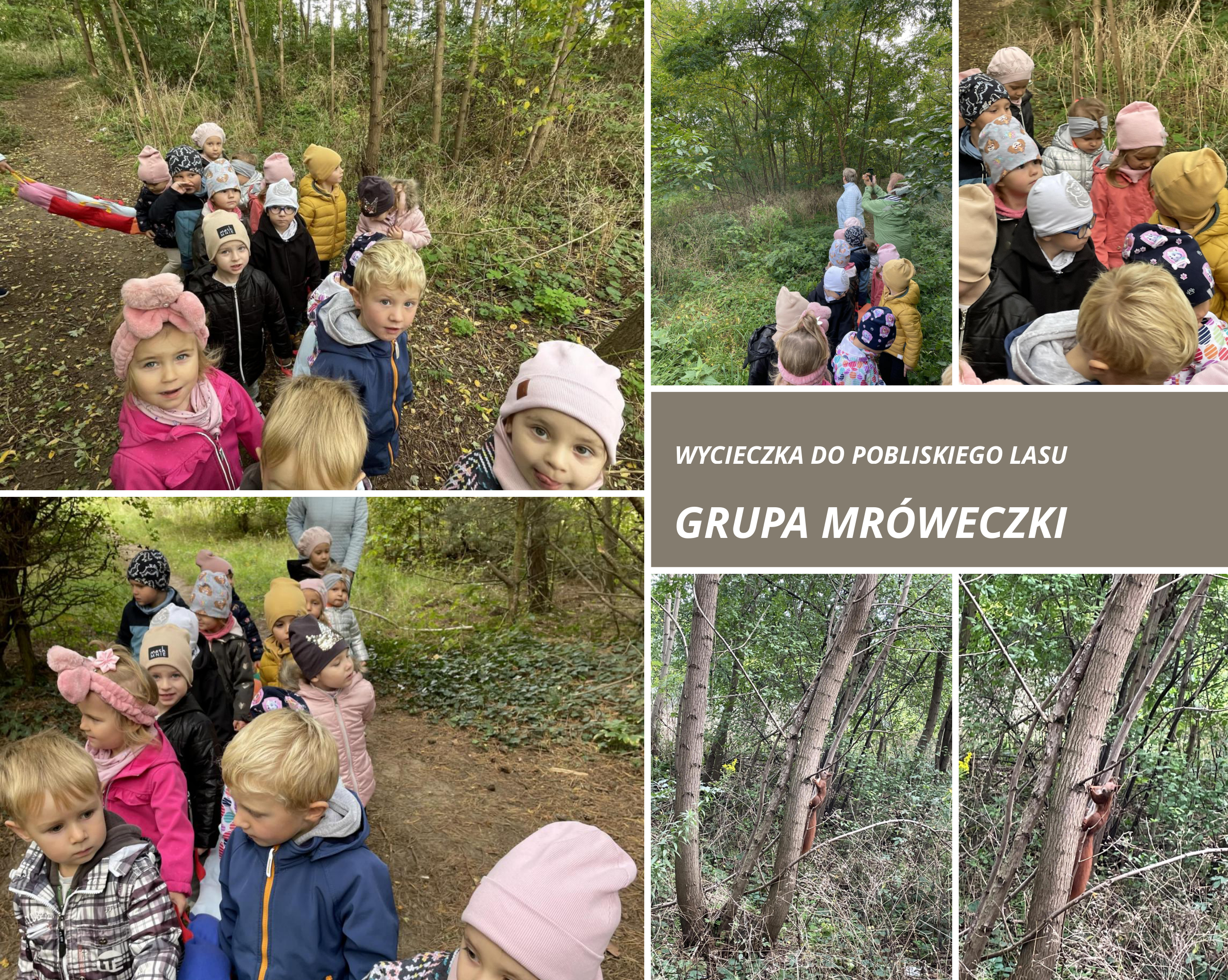 mroweczki