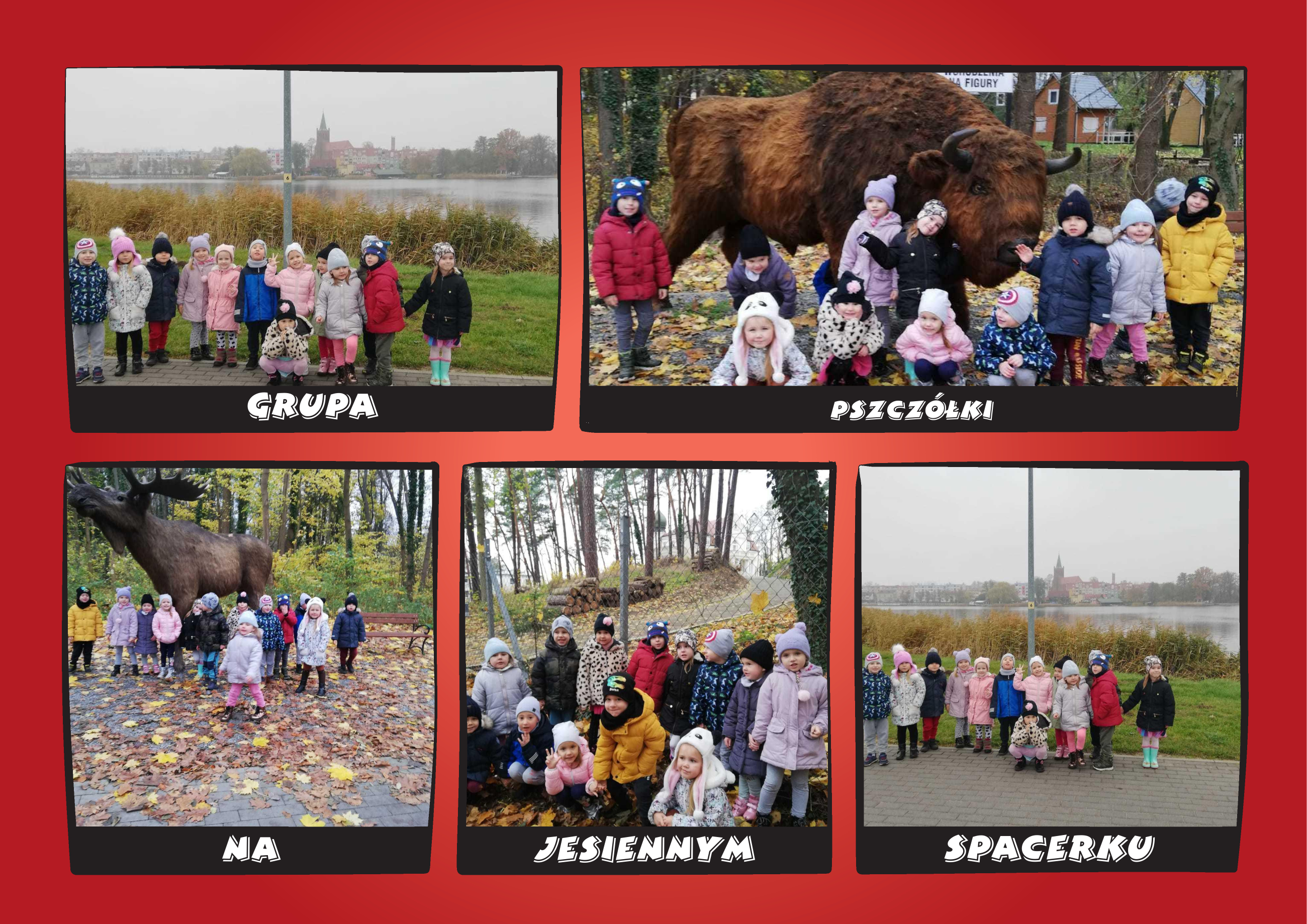 spacer   Pszczółki